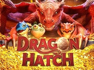 Dragon Hatch screenshot