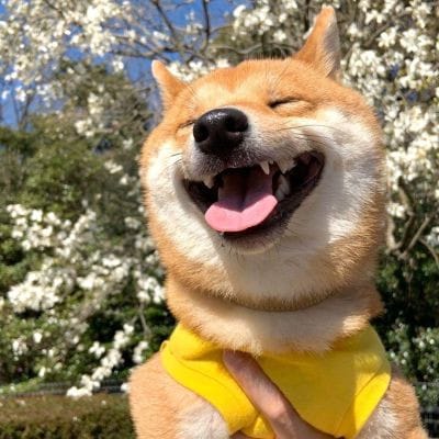 Hendra Gunawan avatar