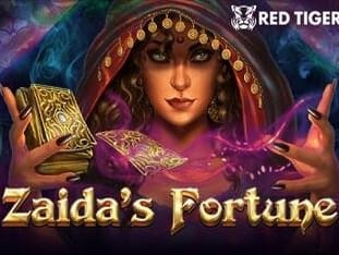 Zaida's Fortune screenshot
