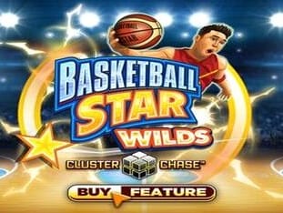 Basketball Star Wilds screenshot